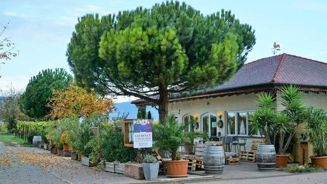 Restaurant La Vigna